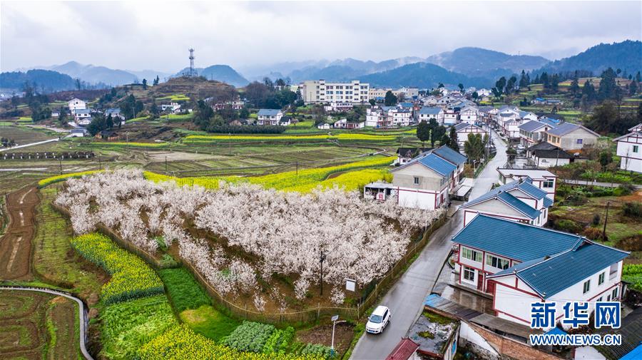 （新華全媒頭條·小康圓夢(mèng)·圖文互動(dòng)）（11）恢宏史詩(shī)耀千秋——寫在中國(guó)共產(chǎn)黨帶領(lǐng)中國(guó)人民全面建成小康社會(huì)之際